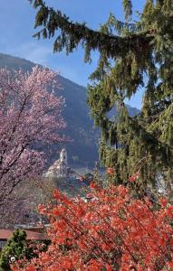 Blick auf einen Berg mit Bäumen und Blumen in der Unterkunft Gasthof Anny in Marling