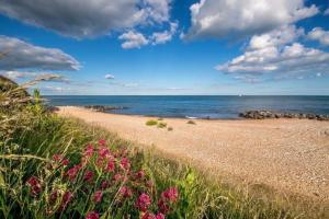 a beach with pink flowers and the ocean at Quince Cottage in Ventnor