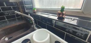 a bathroom with a sink and a toilet and a cactus at Coventry Spacious House in Coventry