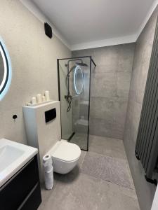 een badkamer met een douche, een toilet en een wastafel bij Apartamenty Rodzina nad morzem in Gdańsk
