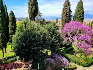 Villa Nardi - Residenza D'Epoca في فلورنسا: صورة حديقة فيها اشجار وزهور