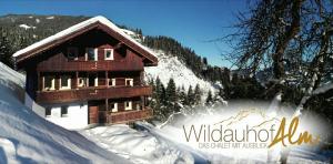 Το Wildauhof - Alm τον χειμώνα +10 φωτογραφίες