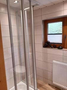 a glass shower in a bathroom with a window at Wildauhof - Bauernhaus in Fügenberg