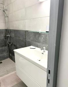 uma casa de banho com um lavatório branco e um chuveiro em Appartement d'une chambre avec terrasse amenagee a Le Vauclin a 3 km de la plage em Le Vauclin