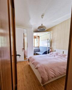 a bedroom with a bed and a mirror at Scoiattolo Apartment in San Martino di Castrozza