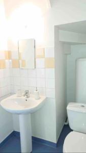 Logement au calme et en plein cœur ! في نوف‌شاتو: حمام أبيض مع حوض ومرحاض