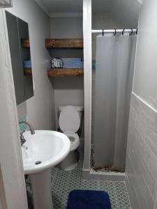 een badkamer met een witte wastafel en een toilet bij Cute 1 Bdrm House that sleeps 3 in Petersburg