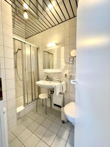 La salle de bains est pourvue d'un lavabo, d'une douche et de toilettes. dans l'établissement Hotel Saarburger Hof, à Sarrebourg