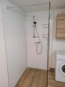 W łazience znajduje się przeszklony prysznic i pralka. w obiekcie Wohnung Rosa w mieście Plattenburg