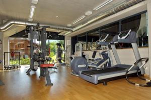 Fitness centrum a/nebo fitness zařízení v ubytování Palladium de Champéry