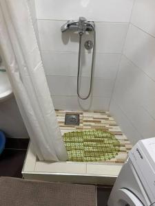 a shower in a bathroom with a green object in it at Apartman u blizini centra grada in Belgrade