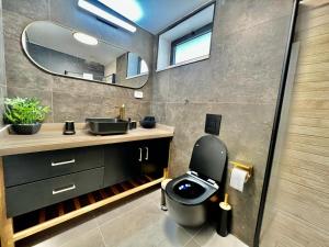 ein Badezimmer mit einem WC, einem Waschbecken und einem Spiegel in der Unterkunft פסגת הנוף The view top in Naharija