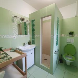 a green bathroom with a sink and a toilet at Apartmán U Jakuba in Dvůr Králové nad Labem