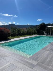 貝韋里諾的住宿－VILLA DELLE ROSE CINQUE TERRE，庭院里的一个蓝色海水游泳池