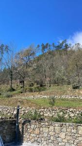 貝韋里諾的住宿－VILLA DELLE ROSE CINQUE TERRE，山坡上树木林立的石墙
