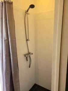 um chuveiro na casa de banho com uma cortina de chuveiro em Prins van Poederoijen em Poederoijen