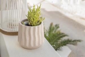 a white vase with a plant in it on a ledge at Piperi-2 Bedroom home in Naousa