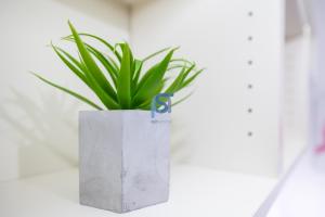 una planta verde en una plantadora de hormigón en una pared en Il Vittoria - Self Check in en Lascari