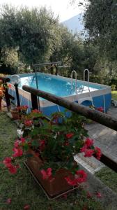 a swimming pool with flowers in front of it at Appartamenti Helios in Limone sul Garda