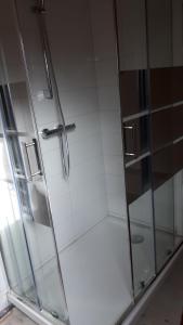 y baño con ducha y puerta de cristal. en Maison sur Rhue, en Égliseneuve-dʼEntraigues