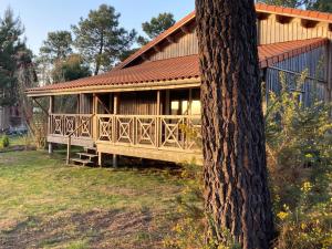 a large wooden house with a tree at Le Gîte de l'Aérogrange in Biscarrosse
