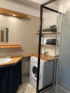 a laundry room with a washing machine and a sink at Le Gîte de l'Aérogrange in Biscarrosse