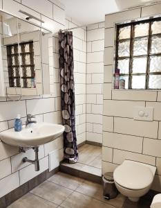 een badkamer met een wastafel en een toilet bij Bungalow Alex in Dresden