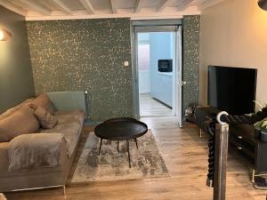 a living room with a couch and a tv at Duplex Viennois in Vienne