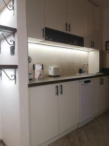 Kuchyň nebo kuchyňský kout v ubytování Apartman Darvin / Lux