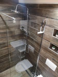 La salle de bains est pourvue d'une douche en verre et de toilettes. dans l'établissement Apartman Darvin / Lux, à Belgrade