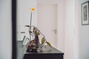 Fotografie z fotogalerie ubytování Haus am Zabelstein v destinaci Dingolshausen