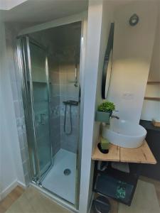 łazienka z prysznicem i umywalką w obiekcie Gîte La Terrasse du 37 w mieście Breteil +29 zdjęć