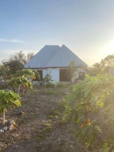 a house in a field with trees in front of it at Villa Pumziko in Kizimkazi