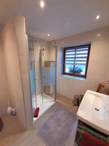 ein Bad mit einer Dusche und einem Waschbecken in der Unterkunft Ferienwohnung Beate Zierer in Eslarn