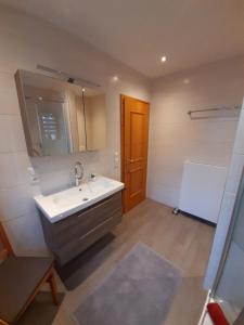 een badkamer met een wastafel en een spiegel bij Ferienwohnung Beate Zierer in Eslarn