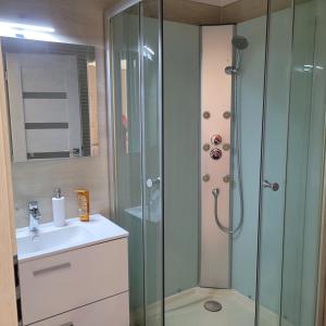 a bathroom with a shower and a sink at Apartmán Křtiny in Křtiny
