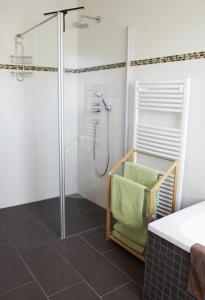 een badkamer met een douche en een glazen deur bij Ferienwohnungen am Roten Nil in Lübben