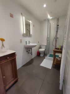 a bathroom with a sink and a shower and a toilet at Panamá in Dinant