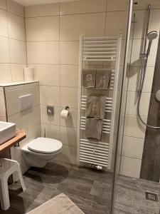 a bathroom with a toilet and a shower at Hotel Solaria in Obertauern