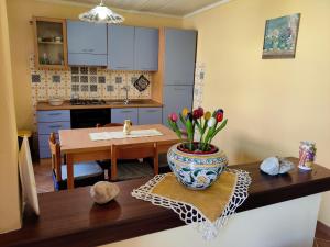 eine Küche mit einem Tisch und einer Vase mit Blumen auf der Theke in der Unterkunft Casa Spezzara (tra Tropea e Capo Vaticano) in Santa Domenica