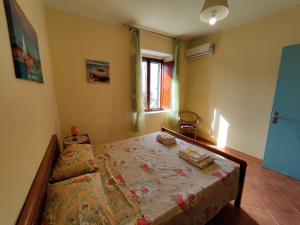 a bedroom with a bed and a window at Casa Spezzara (tra Tropea e Capo Vaticano) in Santa Domenica
