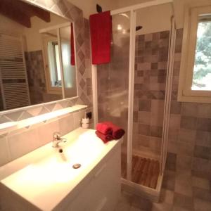 a bathroom with a sink and a shower at B&B Andrieddu in Telti