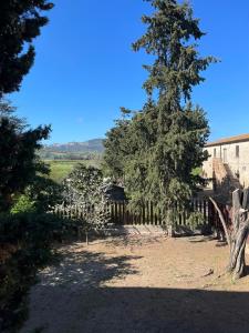 Ein Baum in einem Garten neben einem Zaun in der Unterkunft CASALE LA BANDITA in La Bandita