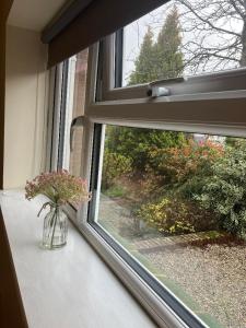 a window with a vase of flowers on a window sill at The Garage in Wimborne Minster