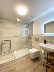 a bathroom with a shower and a toilet and a sink at FeWo Sonnenlay - Apartments an der Mosel in Brauneberg