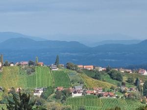 Afbeelding uit fotogalerij van Weinstöckl Hochgrail pures sein in Sankt Stefan ob Stainz