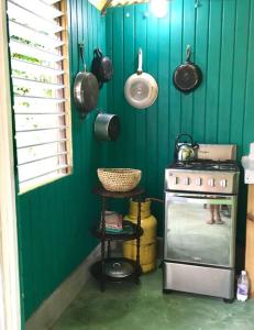 uma cozinha verde com fogão, panelas e frigideiras em Charlie’s Place Zion Hill - close to Blue Lagoon em Port Antonio