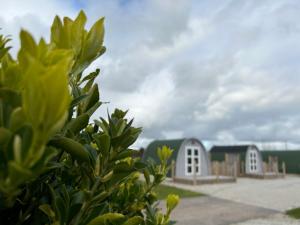 a view of a house with a building in the background at Cosy Glamping Pod with shared facilities, Nr Kingsbridge and Salcombe in Kingsbridge