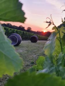 ein Feld mit Heuballen auf einem Feld mit Sonnenuntergang in der Unterkunft Superbe Loft, dégustations vignoble familial in Villars-en-Pons