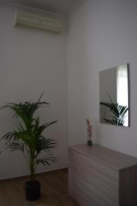 ein Wohnzimmer mit einer Pflanze und einer Kommode in der Unterkunft Residenza Lo Bello Vedere in Caserta